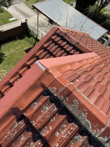 image3 (1)